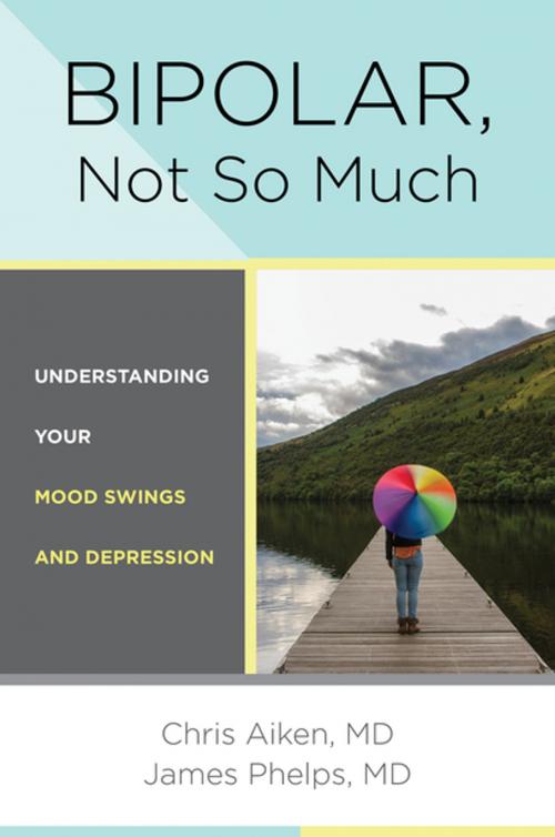 Cover of the book Bipolar, Not So Much: Understanding Your Mood Swings and Depression by Chris Aiken, MD, James Phelps MD, W. W. Norton & Company