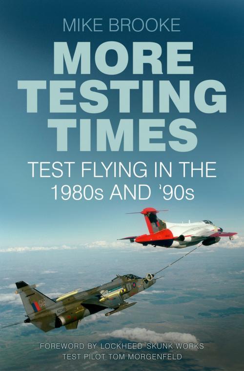 Cover of the book More Testing Times by Mike Brooke, The History Press