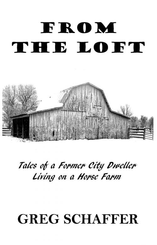 Cover of the book From the Loft by Greg Schaffer, Gregory Jon Schaffer