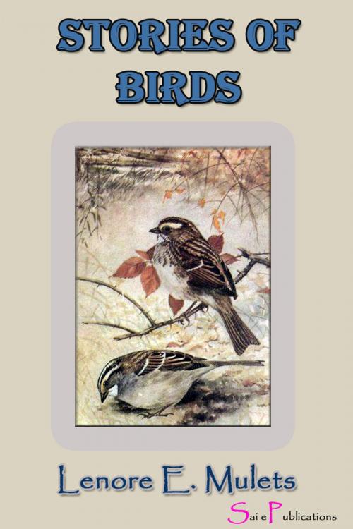 Cover of the book Stories of Birds by Lenore E. Mulets, Sai ePublications