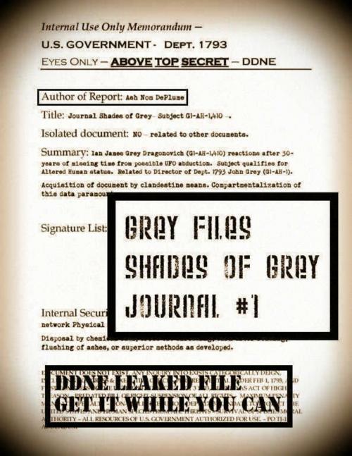 Cover of the book Grey Files: Shades of Grey Journal #1 by Ash Nom DePlume, Ash Nom DePlume