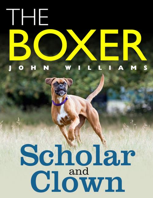 Cover of the book The Boxer: Scholar and Clown by John Williams, John Williams