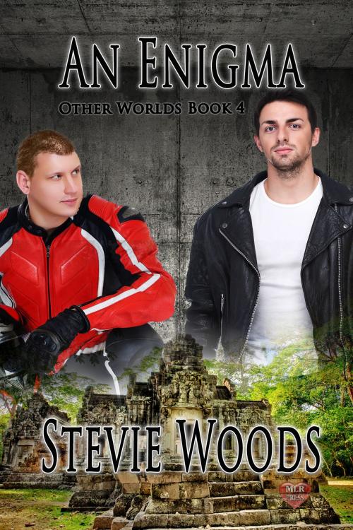 Cover of the book An Engima by Stevie Woods, MLR Press