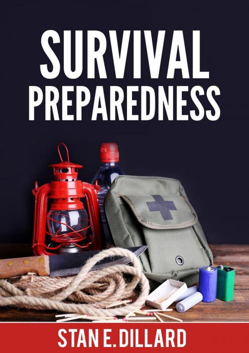 Cover of the book Survival Preparedness by Stan E. Dillard, Stan E. Dillard