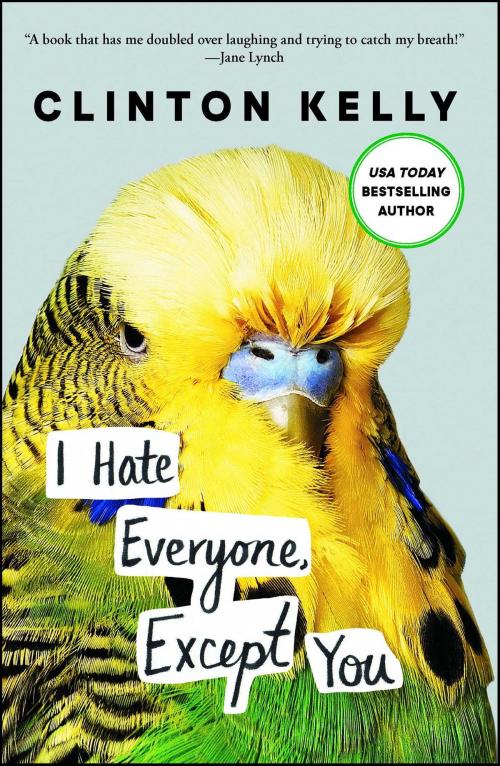 Cover of the book I Hate Everyone, Except You by Clinton Kelly, Gallery Books