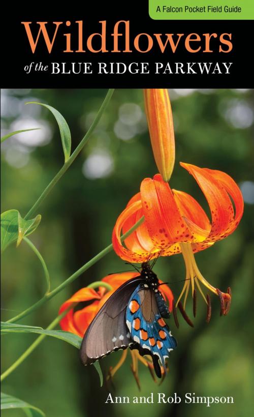 Cover of the book Wildflowers of the Blue Ridge Parkway by Ann Simpson, Rob Simpson, Falcon Guides