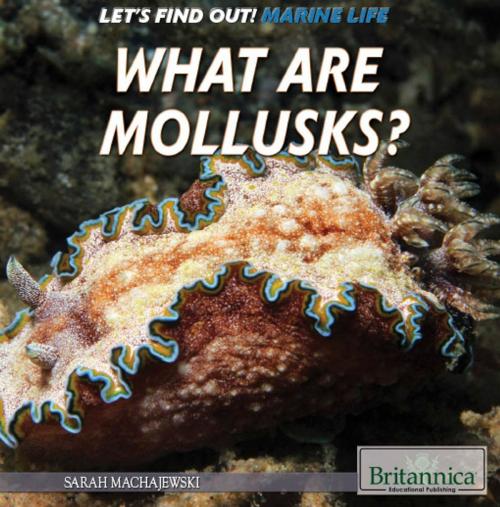 Cover of the book What Are Mollusks? by Sarah Machajewski, Britannica Educational Publishing