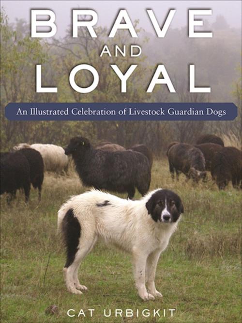 Cover of the book Brave and Loyal by Cat Urbigkit, Skyhorse Publishing