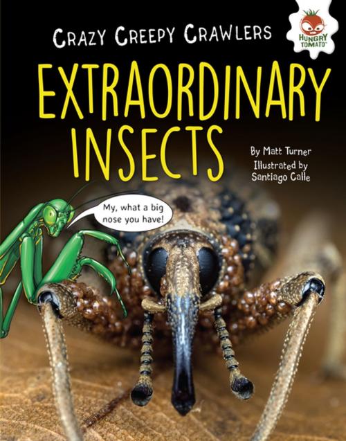 Cover of the book Extraordinary Insects by Matt Turner, Lerner Publishing Group