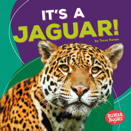 Cover of the book It's a Jaguar! by Tessa Kenan, Lerner Publishing Group