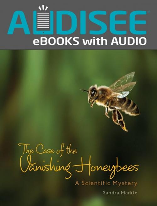 Cover of the book The Case of the Vanishing Honeybees by Sandra Markle, Lerner Publishing Group