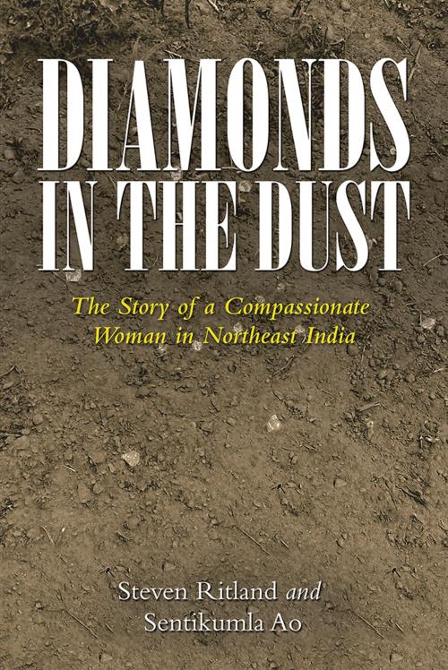 Cover of the book Diamonds in the Dust by Steven Ritland, Sentikumla Ao, WestBow Press