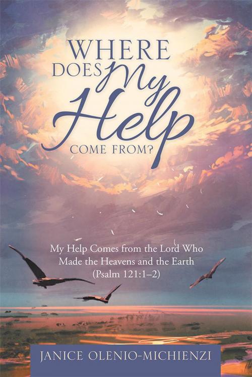 Cover of the book Where Does My Help Come From? by Janice Olenio-Michienzi, WestBow Press