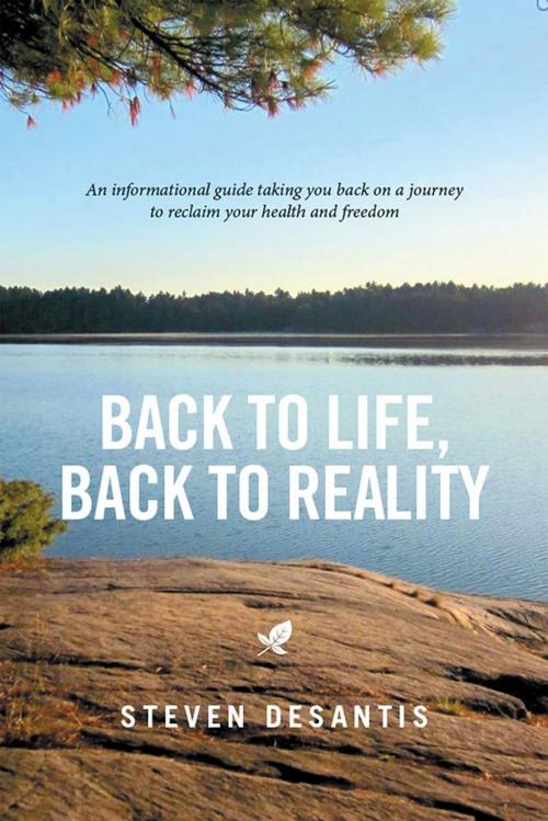 Cover of the book Back to Life, Back to Reality by Steven Desantis, Xlibris US