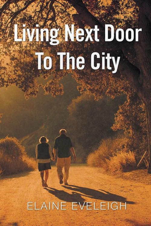 Cover of the book Living Next Door to the City by Elaine Eveleigh, Xlibris UK