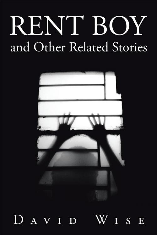 Cover of the book Rent Boy and Other Related Stories by David Wise, Xlibris UK