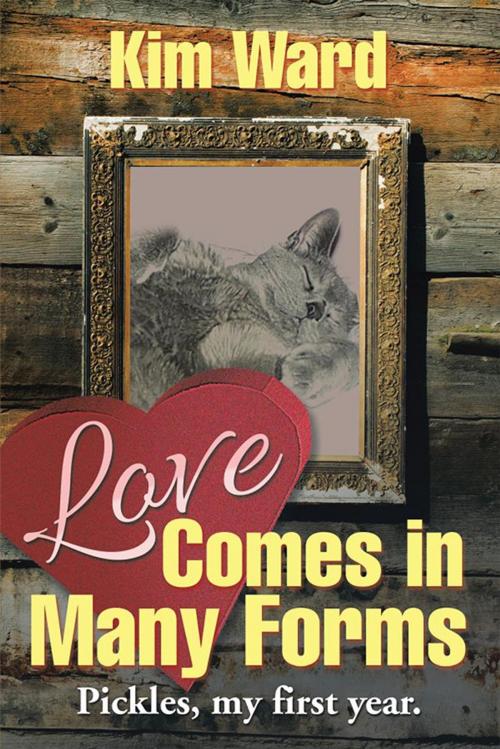 Cover of the book Love Comes in Many Forms by Kim Ward, Xlibris UK