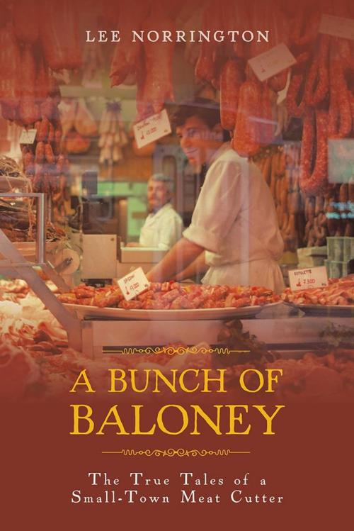 Cover of the book A Bunch of Baloney by Lee Norrington, AuthorHouse