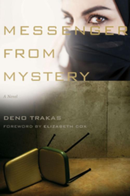 Cover of the book Messenger from Mystery by Deno Trakas, University of South Carolina Press