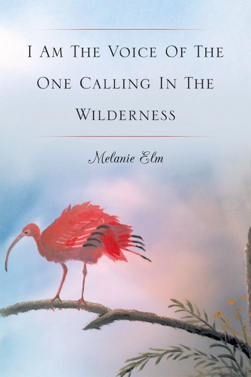 Cover of the book I Am The Voice Of The One Calling In The Wilderness by Melanie Elm, Christian Faith Publishing