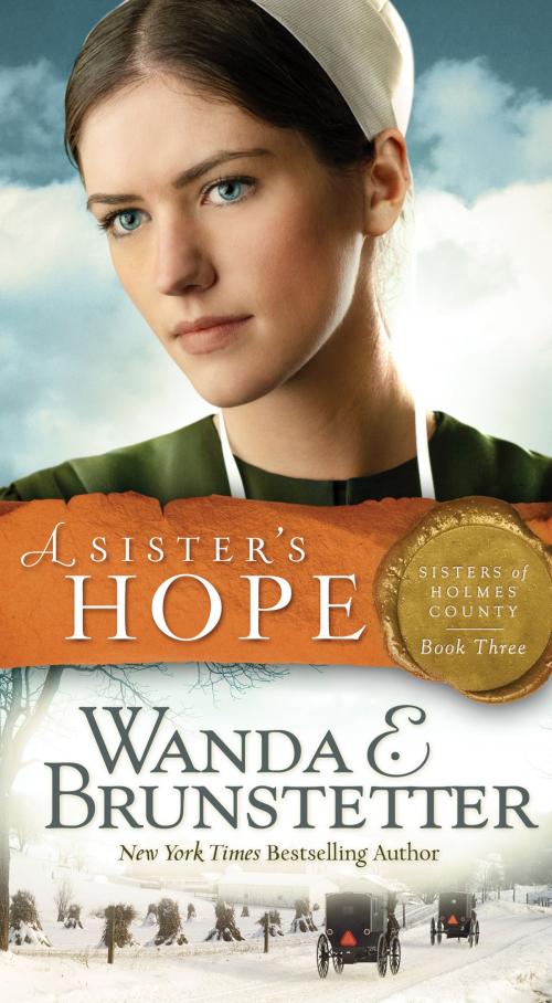 Cover of the book A Sister's Hope by Wanda E. Brunstetter, Barbour Publishing, Inc.