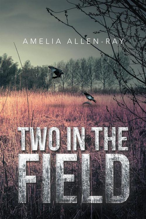 Cover of the book Two in the Field by Amelia Allen-Ray, Page Publishing, Inc.