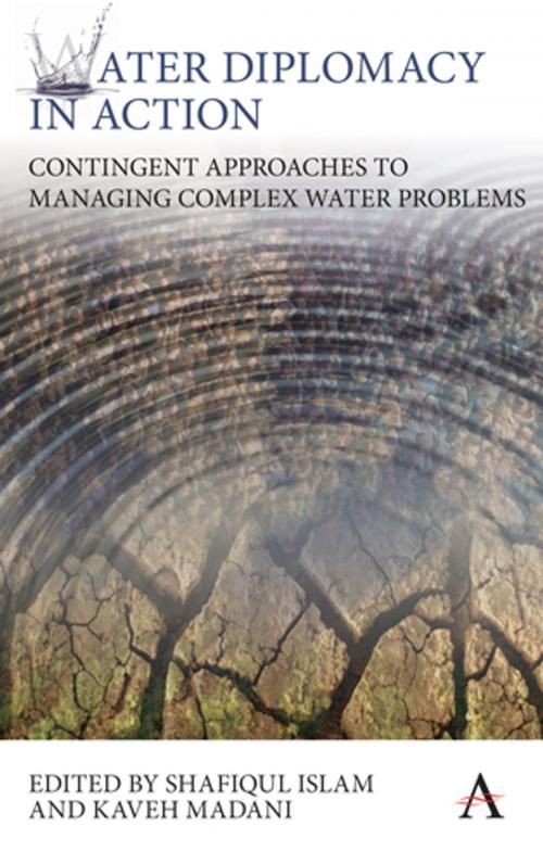 Cover of the book Water Diplomacy in Action by , Anthem Press