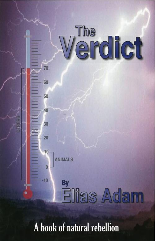 Cover of the book The Verdict by Elias Adam, M-Y Books