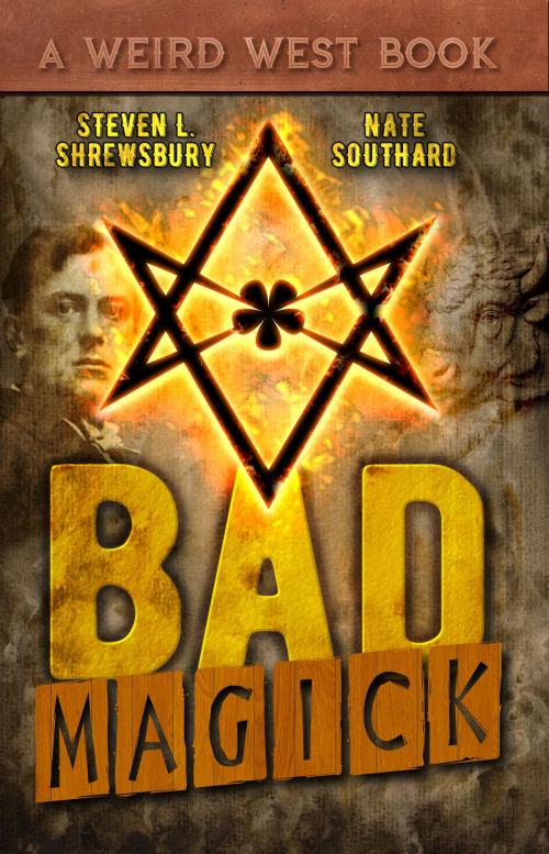 Cover of the book Bad Magick by Steven L. Shrewsbury, Nate Southard, Necro Publications