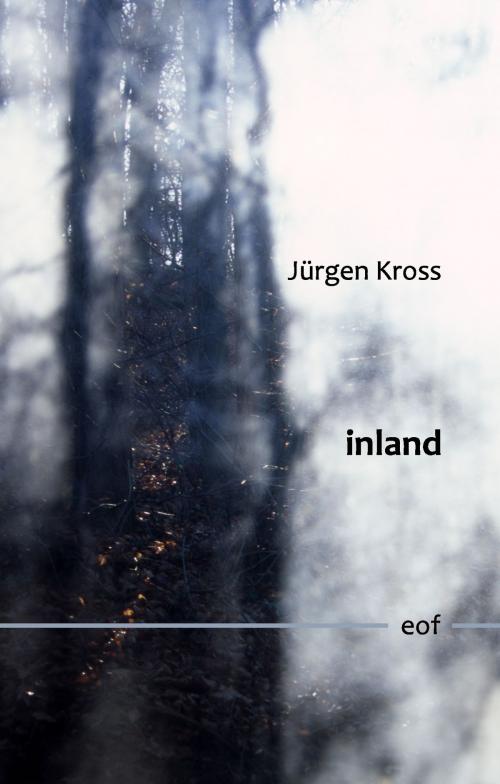 Cover of the book inland by Jürgen Kross, Books on Demand