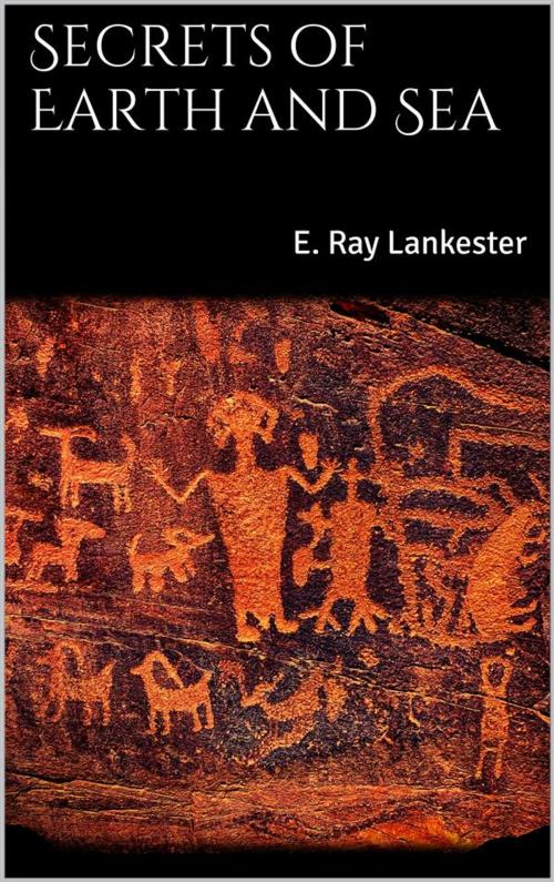 Cover of the book Secrets of Earth and Sea by E. Ray Lankester, E. Ray Lankester