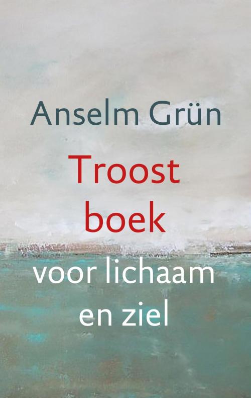 Cover of the book Troostboek voor lichaam en ziel by Anselm Grün, VBK Media