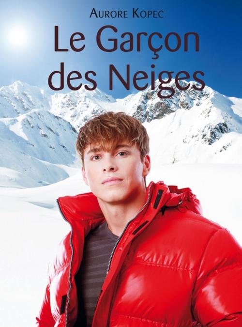 Cover of the book Le Garçon des Neiges by Aurore Kopec, Éditions Textes Gais