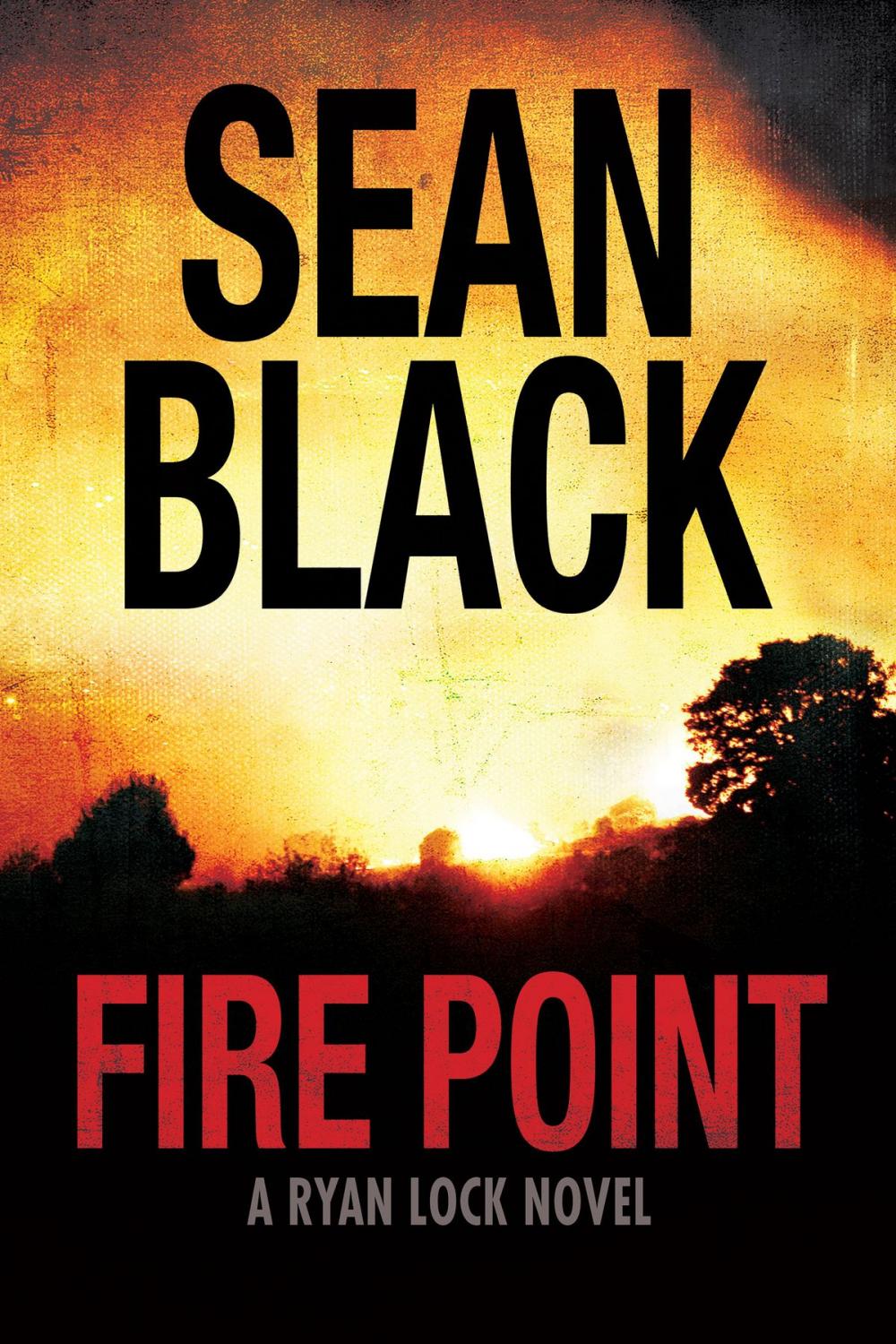 Big bigCover of Fire Point – Ryan Lock #6