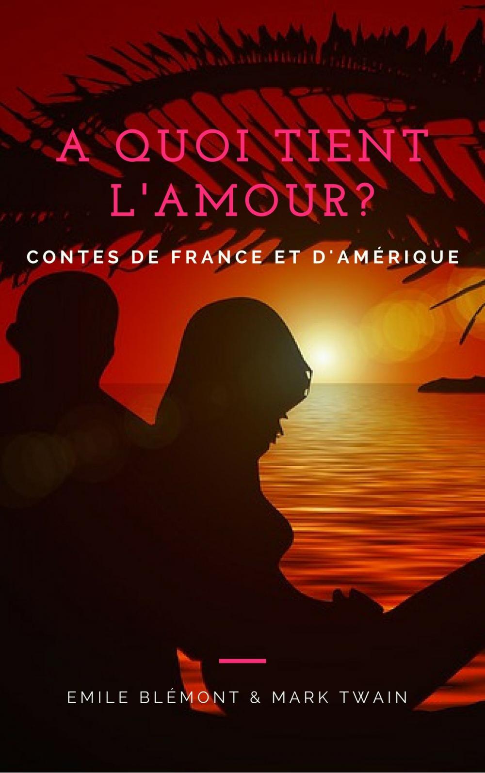 Big bigCover of A quoi tient l'amour? Contes de France et d'Amérique