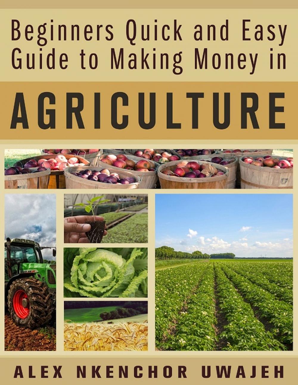 Big bigCover of Beginners Quick and Easy Guide to Making Money in Agriculture