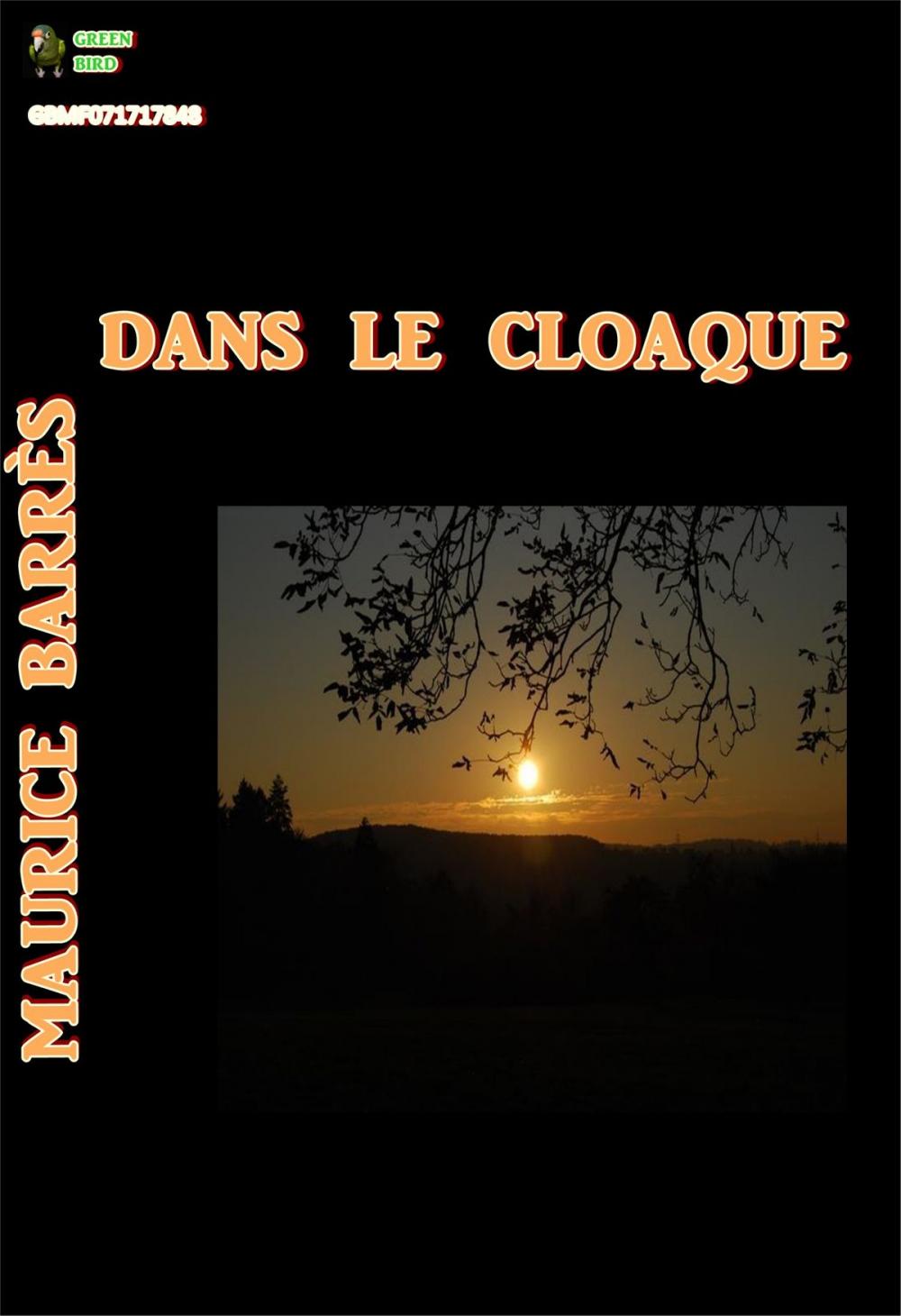 Big bigCover of Dans le cloaque