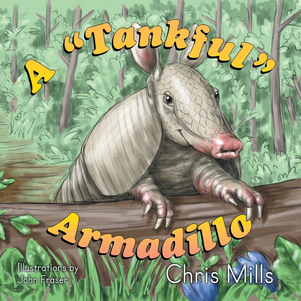 Big bigCover of Tankful Armadillo, A