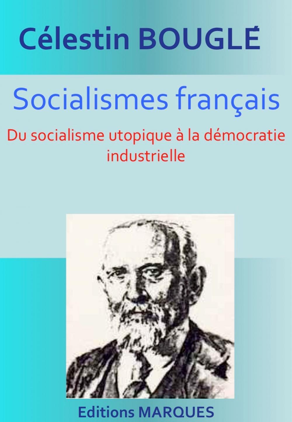 Big bigCover of Socialismes français