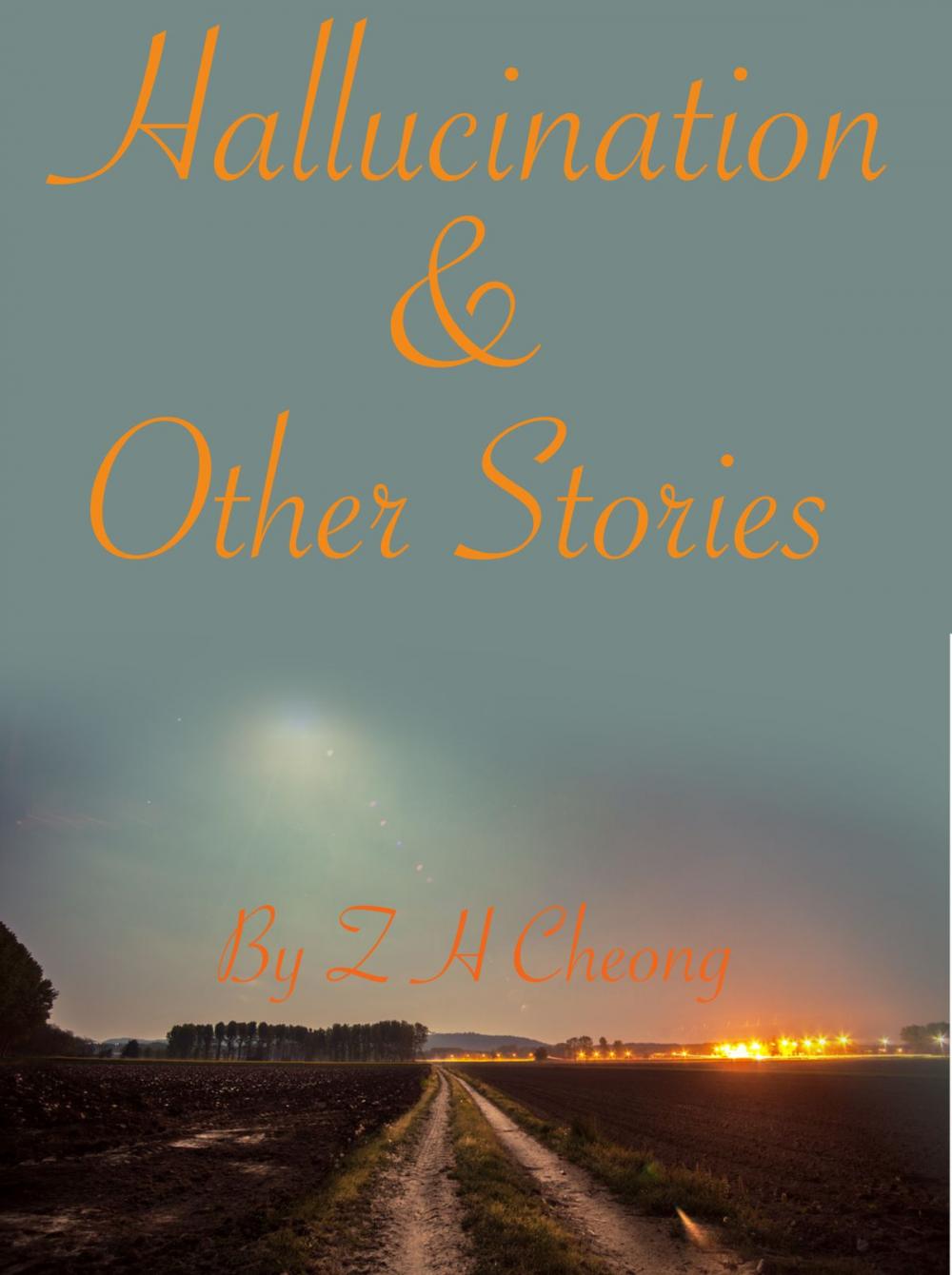 Big bigCover of Hallucination and Other Stories