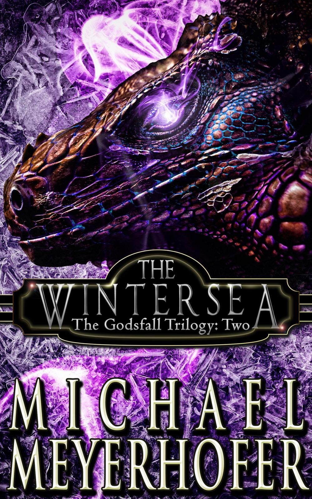 Big bigCover of The Wintersea