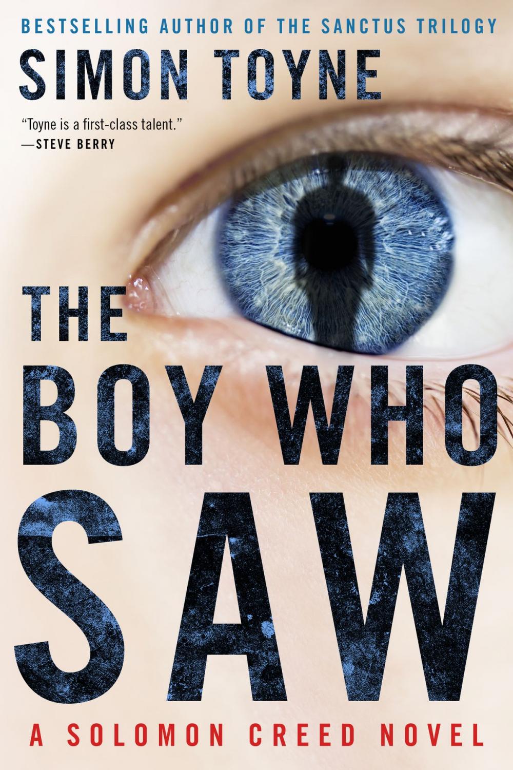 Big bigCover of The Boy Who Saw