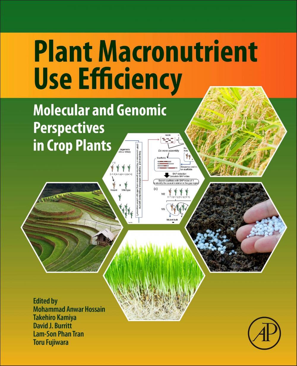 Big bigCover of Plant Macronutrient Use Efficiency