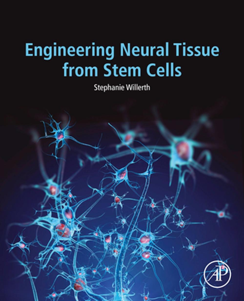 Big bigCover of Engineering Neural Tissue from Stem Cells