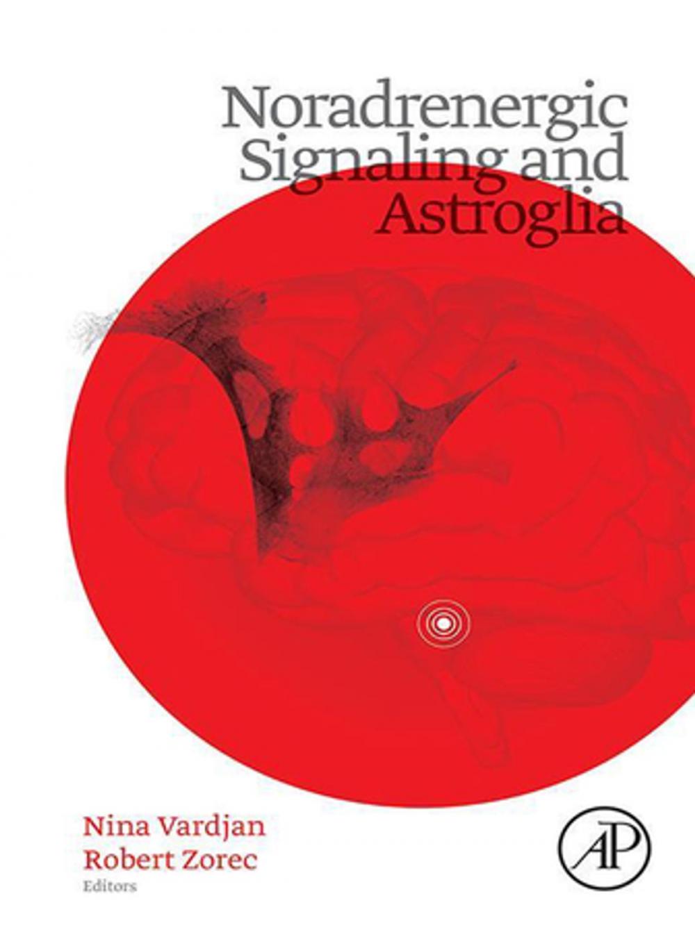 Big bigCover of Noradrenergic Signaling and Astroglia