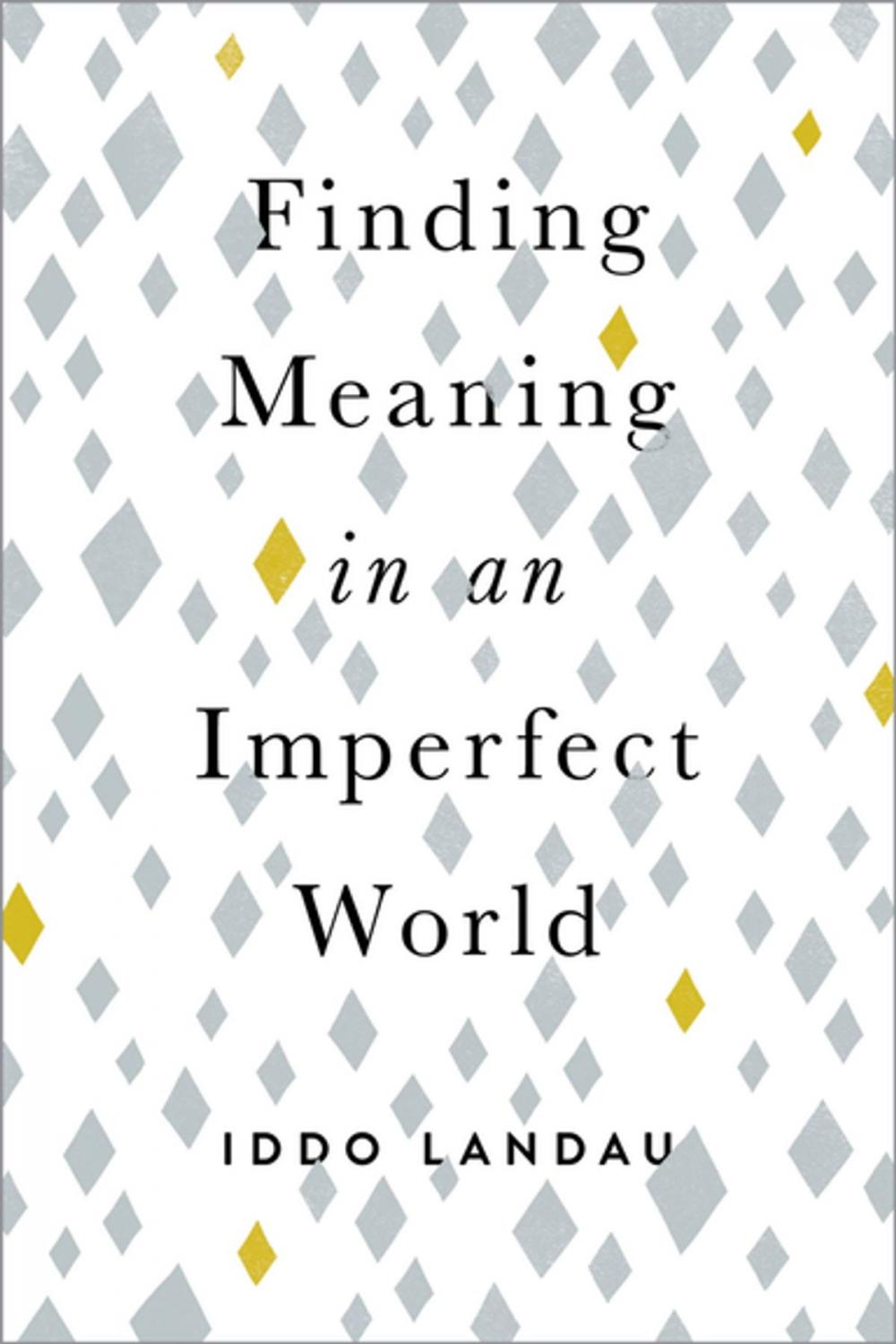 Big bigCover of Finding Meaning in an Imperfect World
