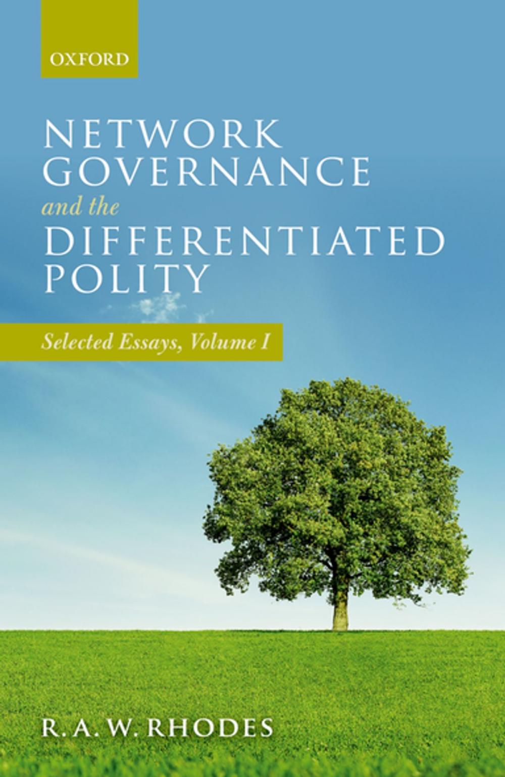 Big bigCover of Network Governance and the Differentiated Polity