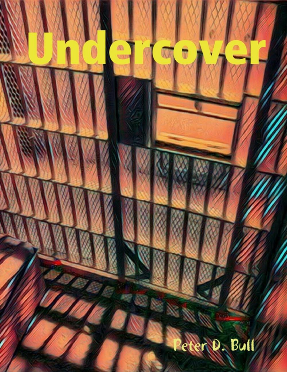 Big bigCover of Undercover