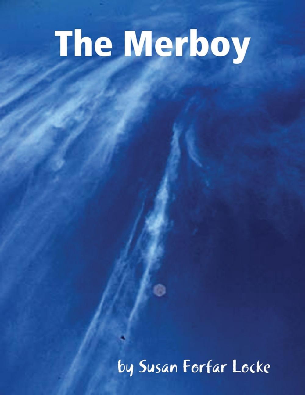 Big bigCover of The Merboy