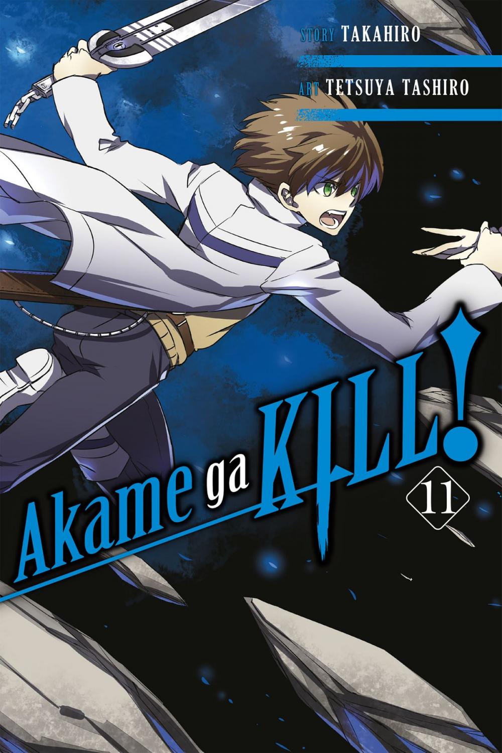 Big bigCover of Akame ga KILL!, Vol. 11